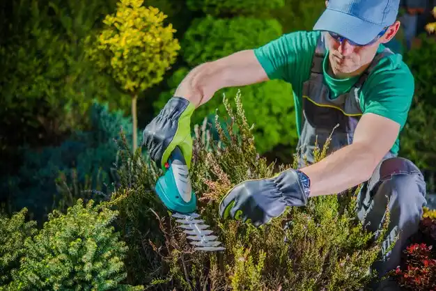 landscaping services Hartville